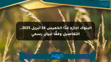 البنوك إجازة غدًا الخميس 24 أبريل 2025.. التفاصيل وفقًا لبيان رسمي